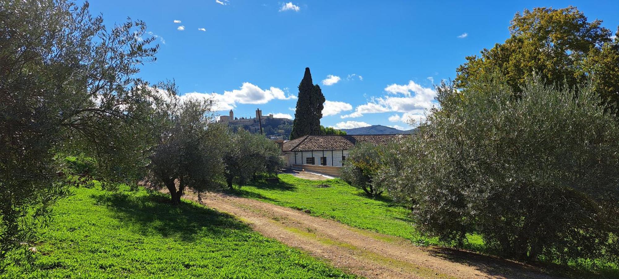 Cauchil Chico Villa Alcalá la Real Dış mekan fotoğraf